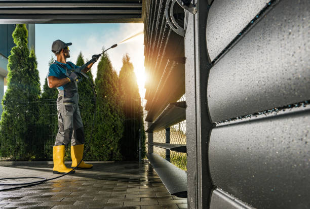 Best Soft Washing  in Nellysford, VA